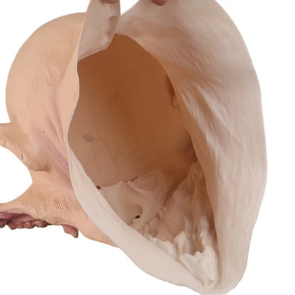 Halloween Adult Costume Mask