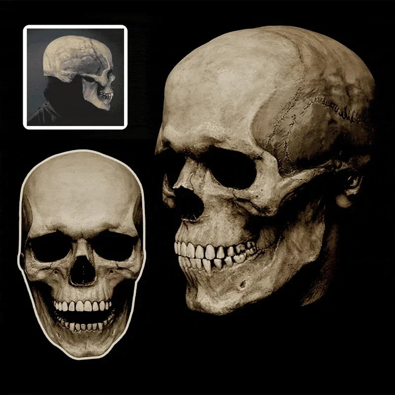 Halloween Full Head Skull Mask 3D